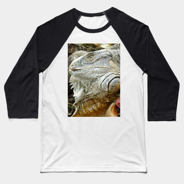 oli red iguana Baseball T-Shirt by pcfyi